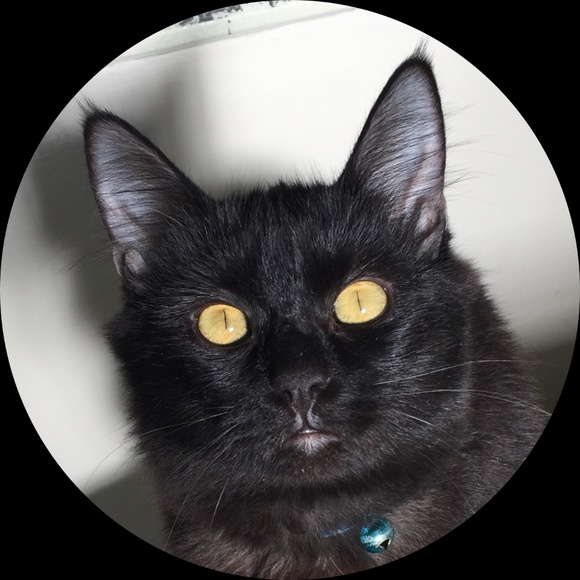 Cute Clothes that support Cute Cats! - Picture 8 of 8